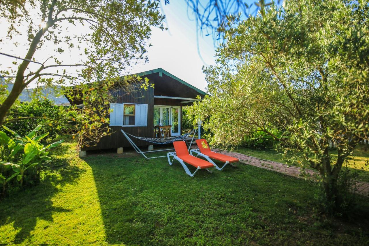 Cirali Zakkum Bungalow Extérieur photo