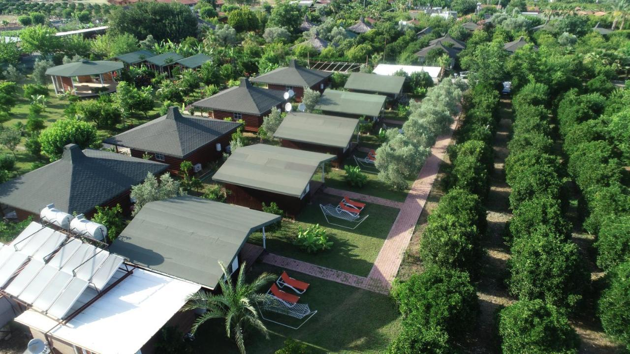 Cirali Zakkum Bungalow Extérieur photo